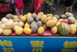 青海吃瓜爆料官方入口,官方入口揭秘，带你探秘幕后真相